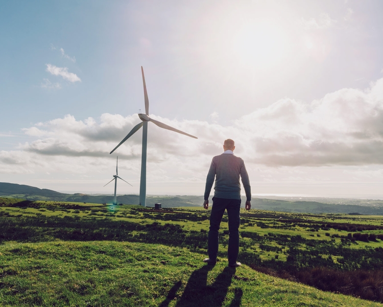 Ein Mann steht in einem grünen Feld und blickt auf zwei Windräder
