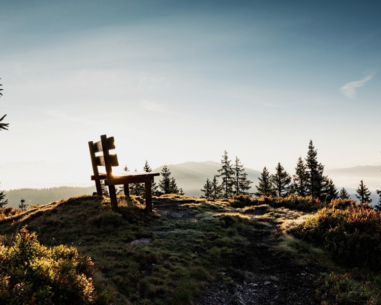 Naturverbunden ethisch nachhaltig anlegen