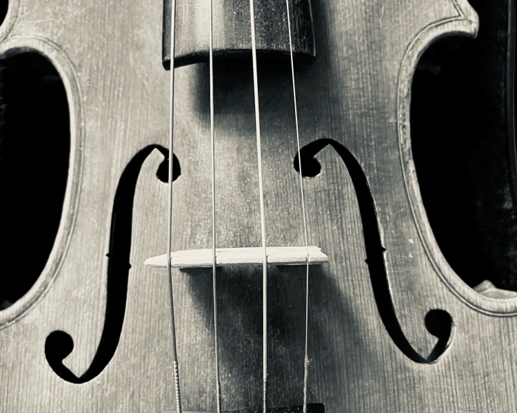 Ein Bild einer Violine