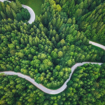 Eine Straße die durch einen Wald führt.