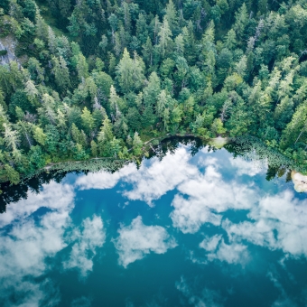 Ein Bergsee mit Bäumen