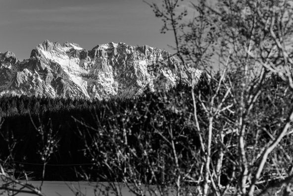 Landschaft mit Bergkulisse im Hintergrund und Baum im Vordergrund