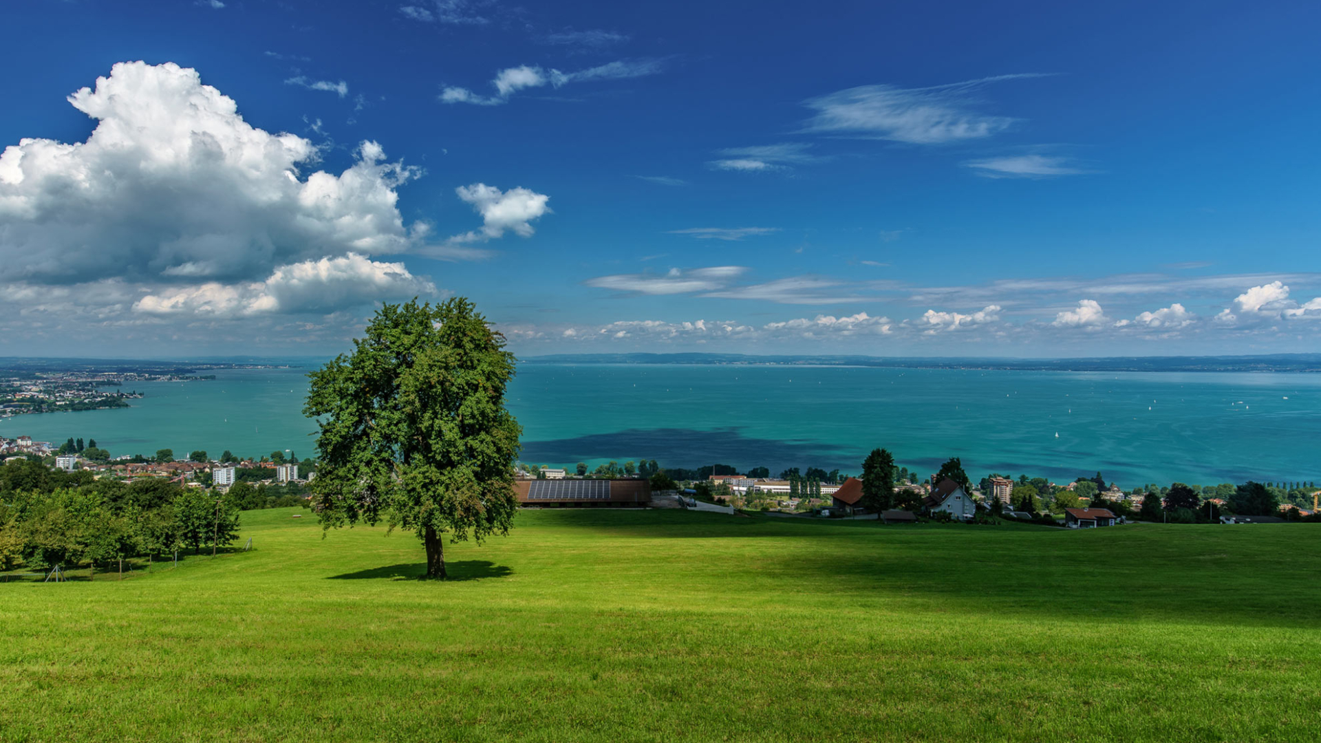 Eine Wiese mit einem See im Hintergrund
