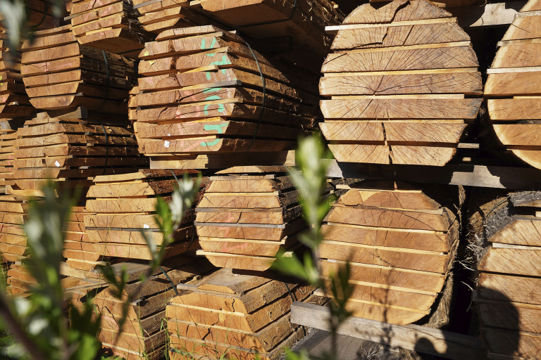 Stapel mit geschnittenen Holzstämmen