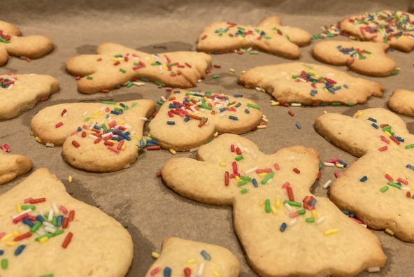 Plätzchen auf einem Ofenblech