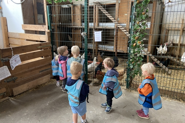 Kinder der MUKKI‑Kinderkrippe besuchen einen Bauernhof und betrachten im Hintergrund herumlaufende Hühner.