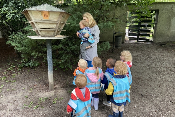Kinder der MUKKI‑Kinderkrippe betrachten gemeinsam ein Vogelhaus im Innsbrucker Hofgarten und erkunden neugierig die Umgebung.