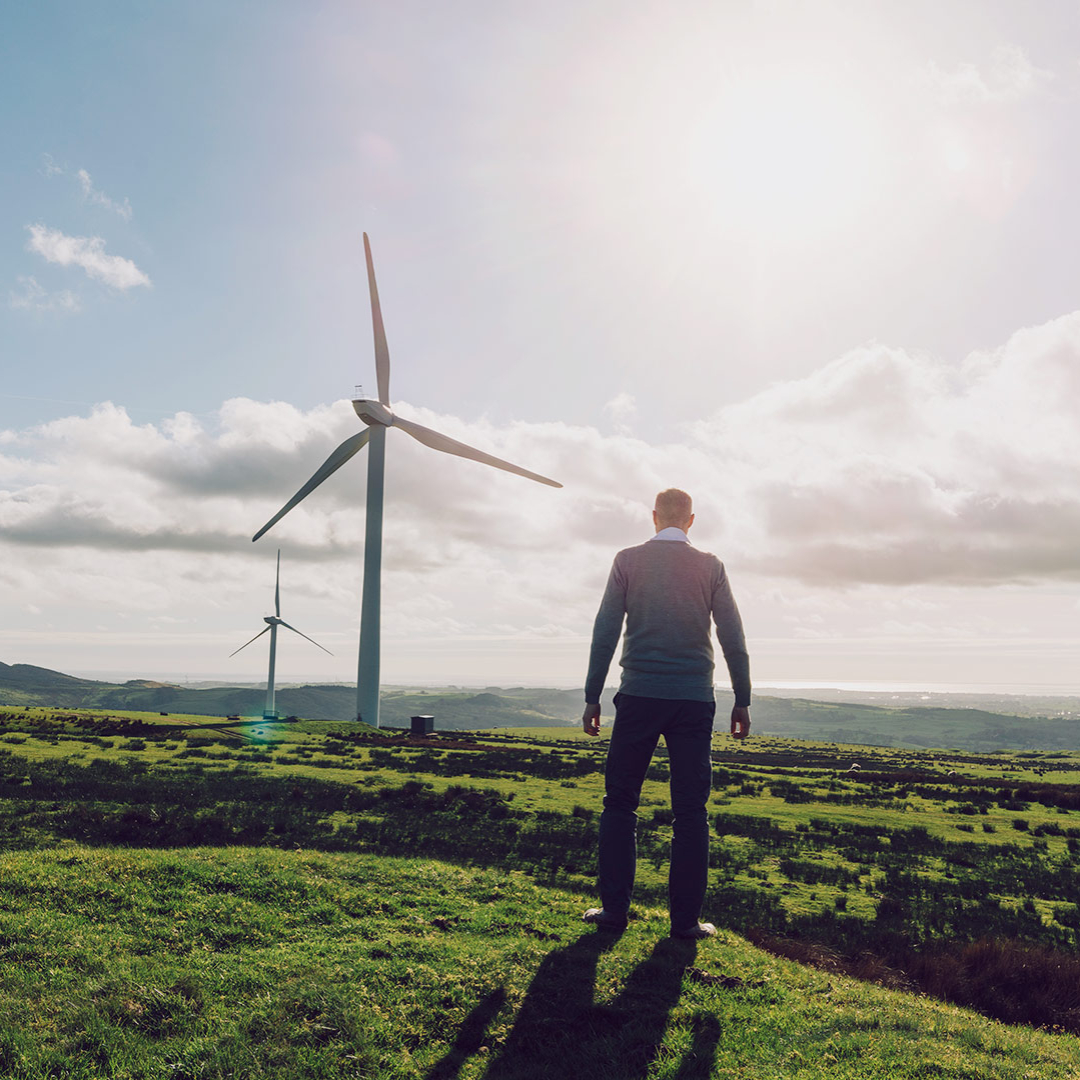 A man stands in a field and looks at two wind turbines