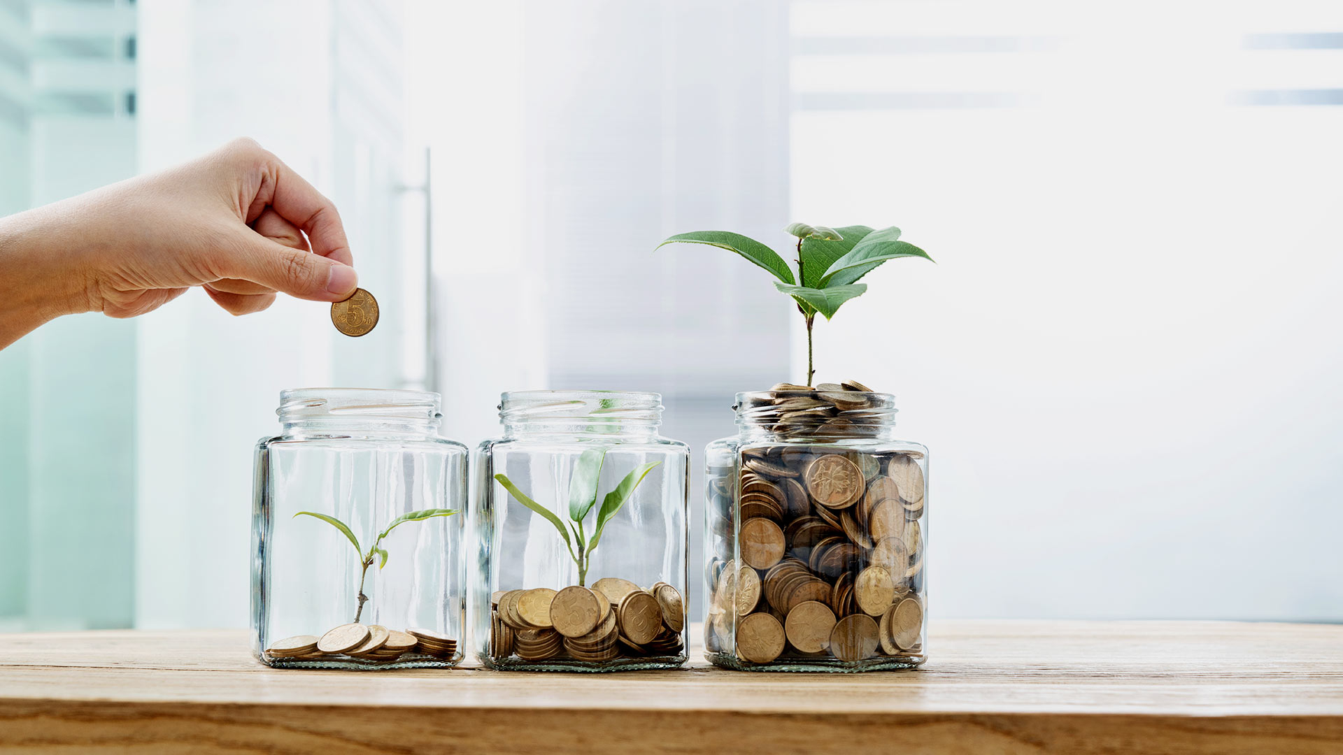Eine Person wirft eine Münze in ein Glas von drei Gläsern, die Münzen und jeweils eine Pflanze enthalten